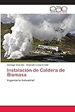 Instalación de Caldera de Biomasa: Ingeniería Industrial